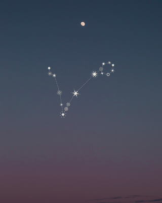 Poissons : La dissolution des frontières et l’océan de l’âme