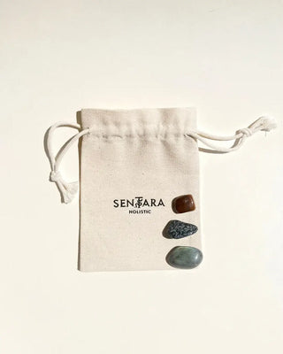 Protection Kit - Labradorite, Snowflake Obsidian, and Iron Tiger Eye